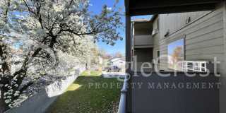 Two Bedroom, One and a Half Bathroom Unit Gallery 41