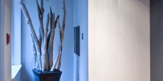 Alderview Apartments Gallery 245