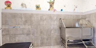 Ridgeview Apartments Gallery 22