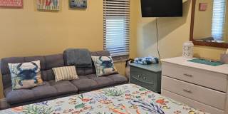 RENTED JAN, FEB, MARCH 2026 Gallery 36