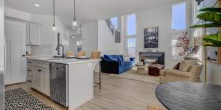 Mt. Rainier Gallery 9