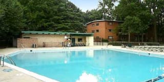Glenmont Forest Gallery 26