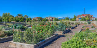 Modern Townhouse in Can't Beat Location - Available 8/1 Modern Townhouse in Can't Beat Location - Available 8/1 Gallery 21