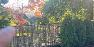 Bittersweet memories, Full Beautiful Remodel Highly Desired Lincoln Neighborhood Gallery 26