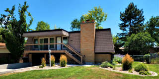 Murray Gem Gallery 1