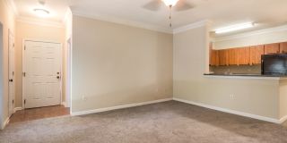 Angel Landing Gallery 9