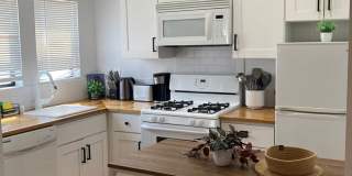 2050 Dracena Dr. Gallery 18