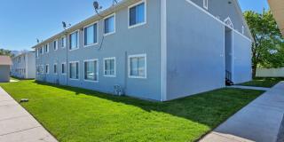 Aspen Pines Gallery 485