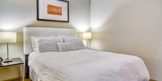 Museum Place Gallery 20