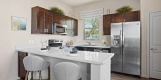 Olive Queen Creek Gallery 1