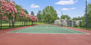 Greens at Hollymead Gallery 5