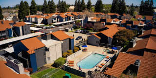 Renew on Summerfield Gallery 1