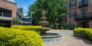 The Orleans of Decatur Gallery 2