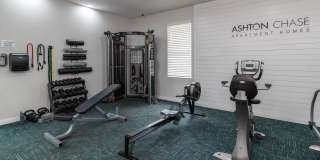 Ashton Chase Gallery 26