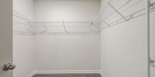 Jackey's Ridge Gallery 13