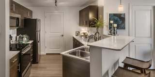 Park Place at Fountain Hills by Mark-Taylor Gallery 4