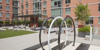 The Duchess Gallery 9