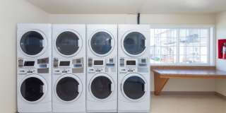 Conifer Grove Gallery 15