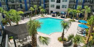 The Jack The Jack Gallery 1