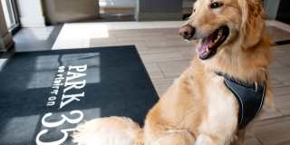 Park 35 on Clairmont Gallery 23