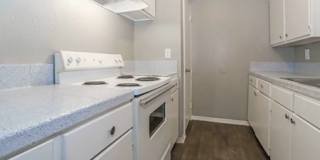 Sierra Nevada Gallery 6