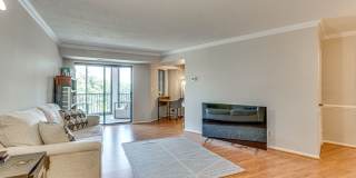 1 Bedroom Condo in Building with Amenities! 1 Bedroom Condo in Building with Amenities! Gallery 4