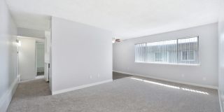 The Canopy Gallery 13