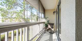 3204 SABAL PALMS COURT Gallery 16