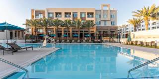 The Avalyn Gallery 41