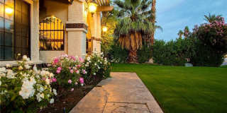 78770 Martinique Gallery 13