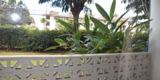 Leinani - Honokowai- Lahaina - ground floor 1bd 1 ba Leinani - Honokowai- Lahaina - ground floor 1bd 1 ba Gallery 5