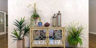 Paseos At Magnolia Luxury Apartment Homes Gallery 10