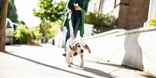 Legacy Village Apartment Homes Gallery 38