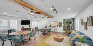 The Stella The Stella Gallery 8