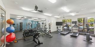 The Boulevard at Deer Park Gallery 56