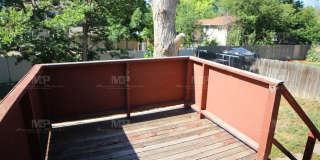 447 W Swallow Road Gallery 12