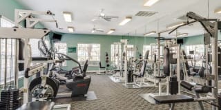 Las Palmas Gallery 10