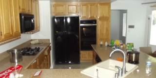 Swimming pool and spa Gallery 10