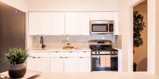 Hampton Gardens Gallery 6