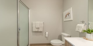 Sygnii Gallery 10