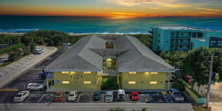 Dolphin Beach Gallery 2