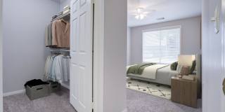 Metro 5514 Gallery 17