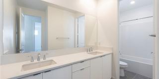 412 Flycatcher Gallery 19