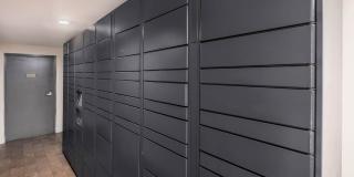 Novi at Queen Anne Gallery 27