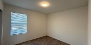 7056 Dandelion Park Avenue Gallery 16