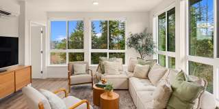 The Pine Gallery 21