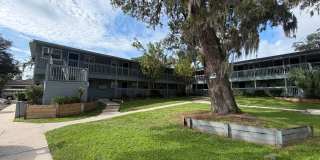 *ACCEPTING VOUCHERS* 1 Bedroom Apartment in Arlington Gallery 1