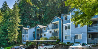 Lakemont Orchard Gallery 5