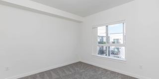 Pointe by Vintage Gallery 31