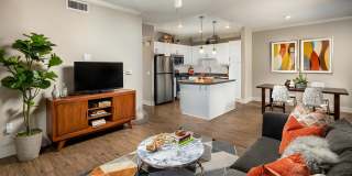 The Heights Gallery 1